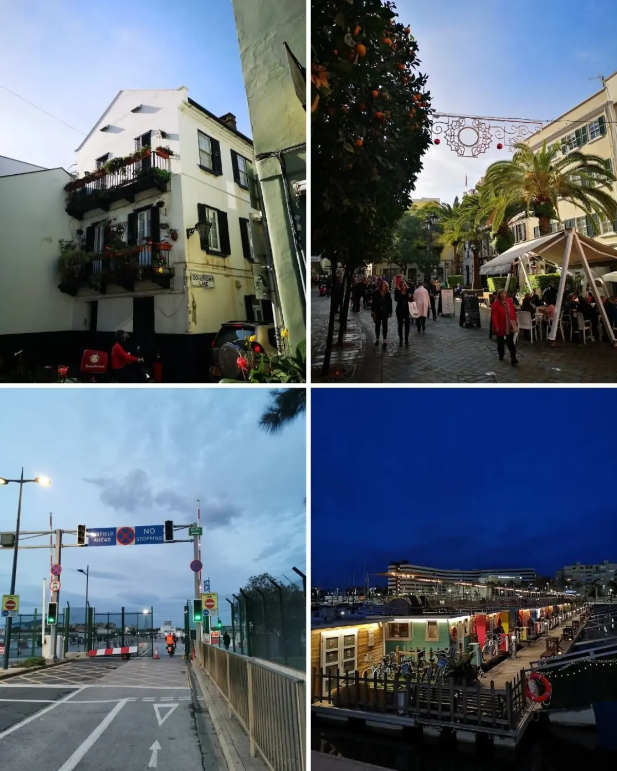 Monkey attack, mountain adventure and city life in Gibraltar – kuva 4-3