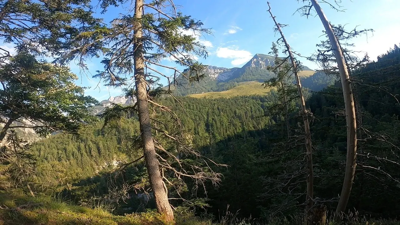 Along the mountain road, vast landscapes opened up – no prohibition signs, just the peace of the Alps.